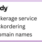 Buying domains at auction