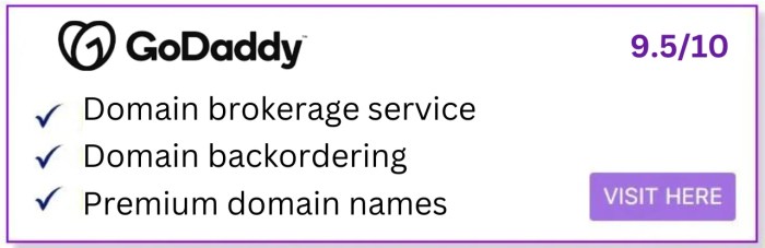 Buying domains at auction